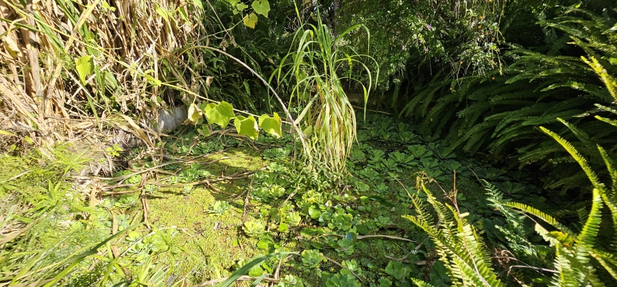 5 Bedroom Property for Sale in Swellendam Western Cape